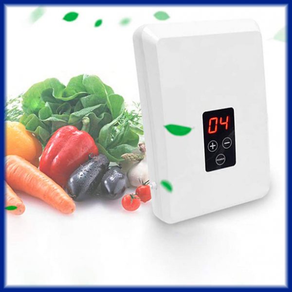 Generador Ozono para Comidas, Frutas y Verduras